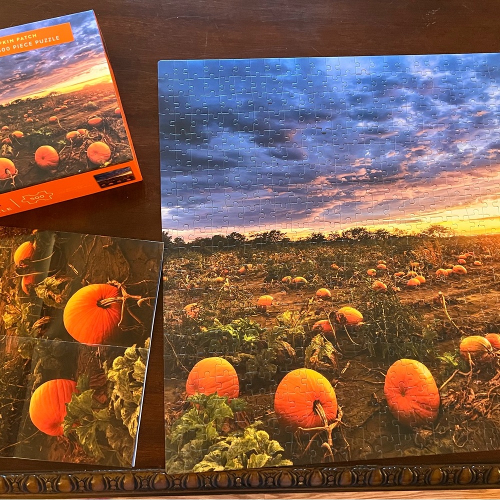 500 piece Pumpkin Patch Puzzle - Picture 1 of 1